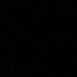 Meet your Posher, Giton